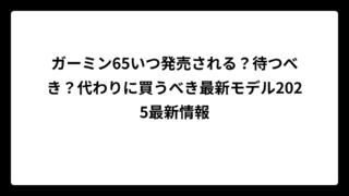 ガーミン65いつ発売される？待つべき？代わりに買うべき最新モデル2025最新情報