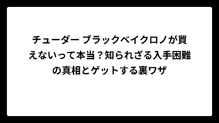 チューダー ブラックベイクロノが買えないって本当？知られざる入手困難の真相とゲットする裏ワザ