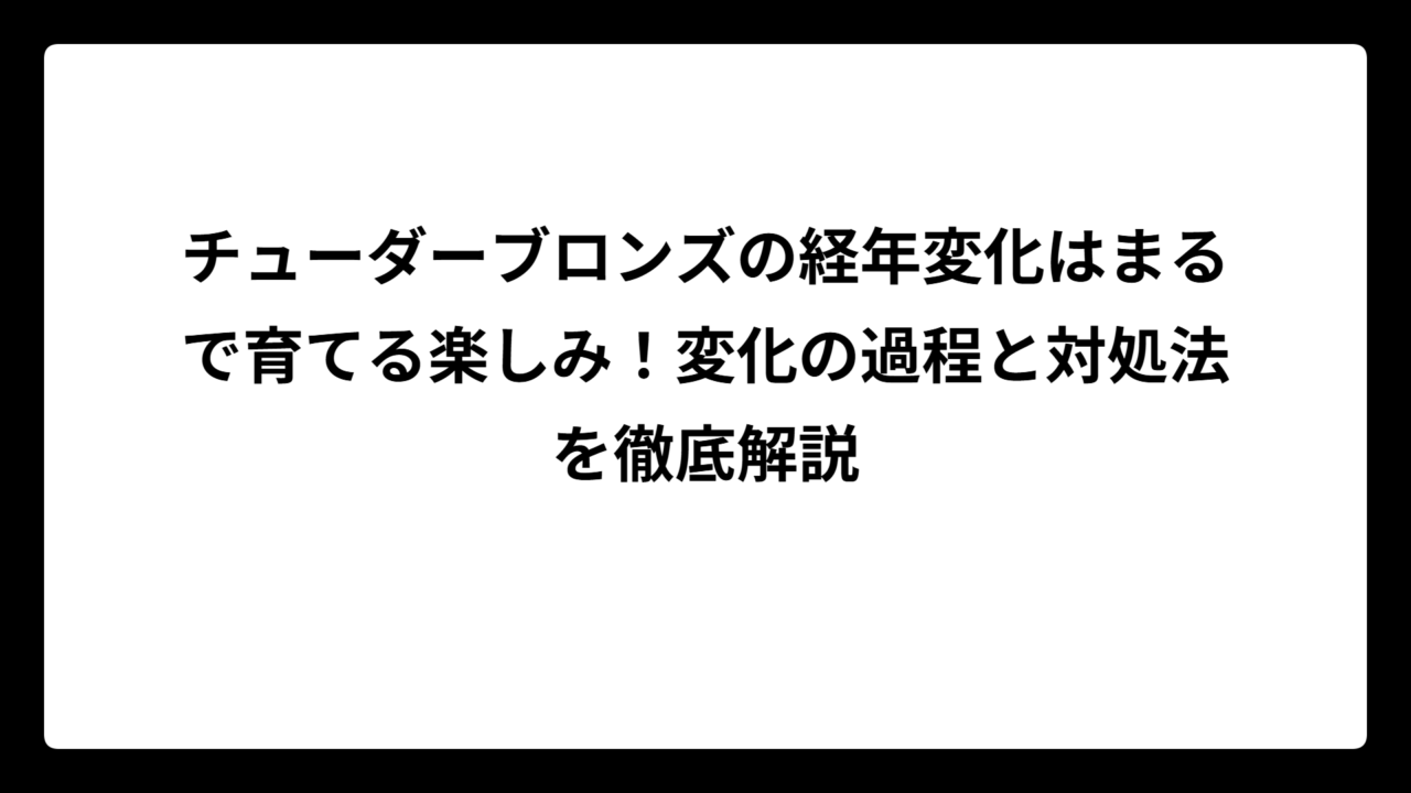 チューダーブロンズの経年変化はまるで育てる楽しみ！変化の過程と対処法を徹底解説