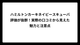 ハミルトンカーキネイビースキューバ評価が抜群！実際の口コミから見えた魅力と注意点