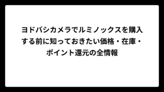 ヨドバシカメラでルミノックスを購入する前に知っておきたい価格・在庫・ポイント還元の全情報