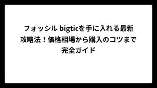 フォッシル bigticを手に入れる最新攻略法！価格相場から購入のコツまで完全ガイド