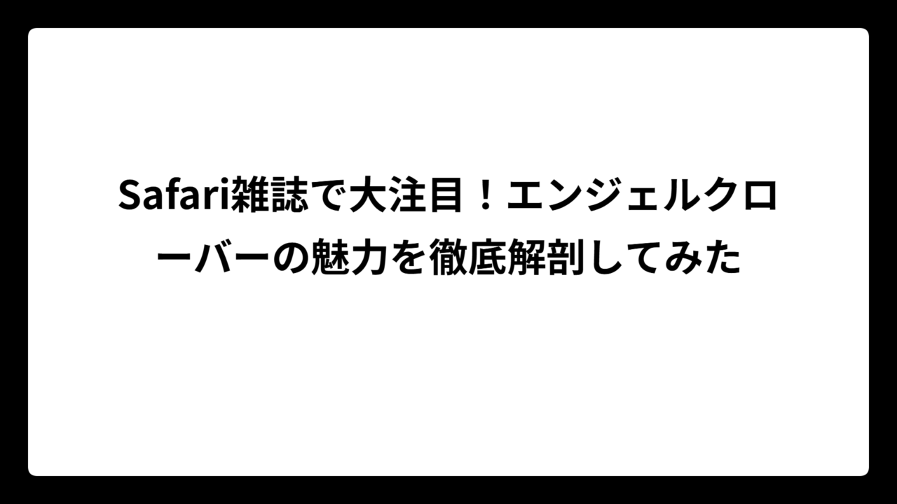 Safari雑誌で大注目！エンジェルクローバーの魅力を徹底解剖してみた