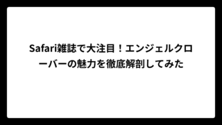 Safari雑誌で大注目！エンジェルクローバーの魅力を徹底解剖してみた