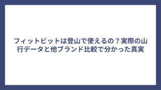 フィットビットは登山で使えるの？実際の山行データと他ブランド比較で分かった真実